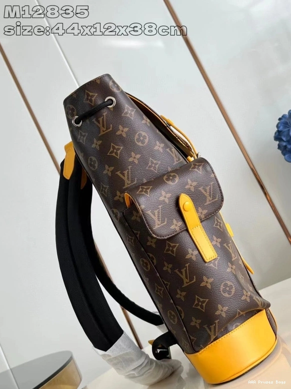 AAA Pruses Bags Louis Vuitton Backpack MM-38*44*12.5CM Christopher 0811